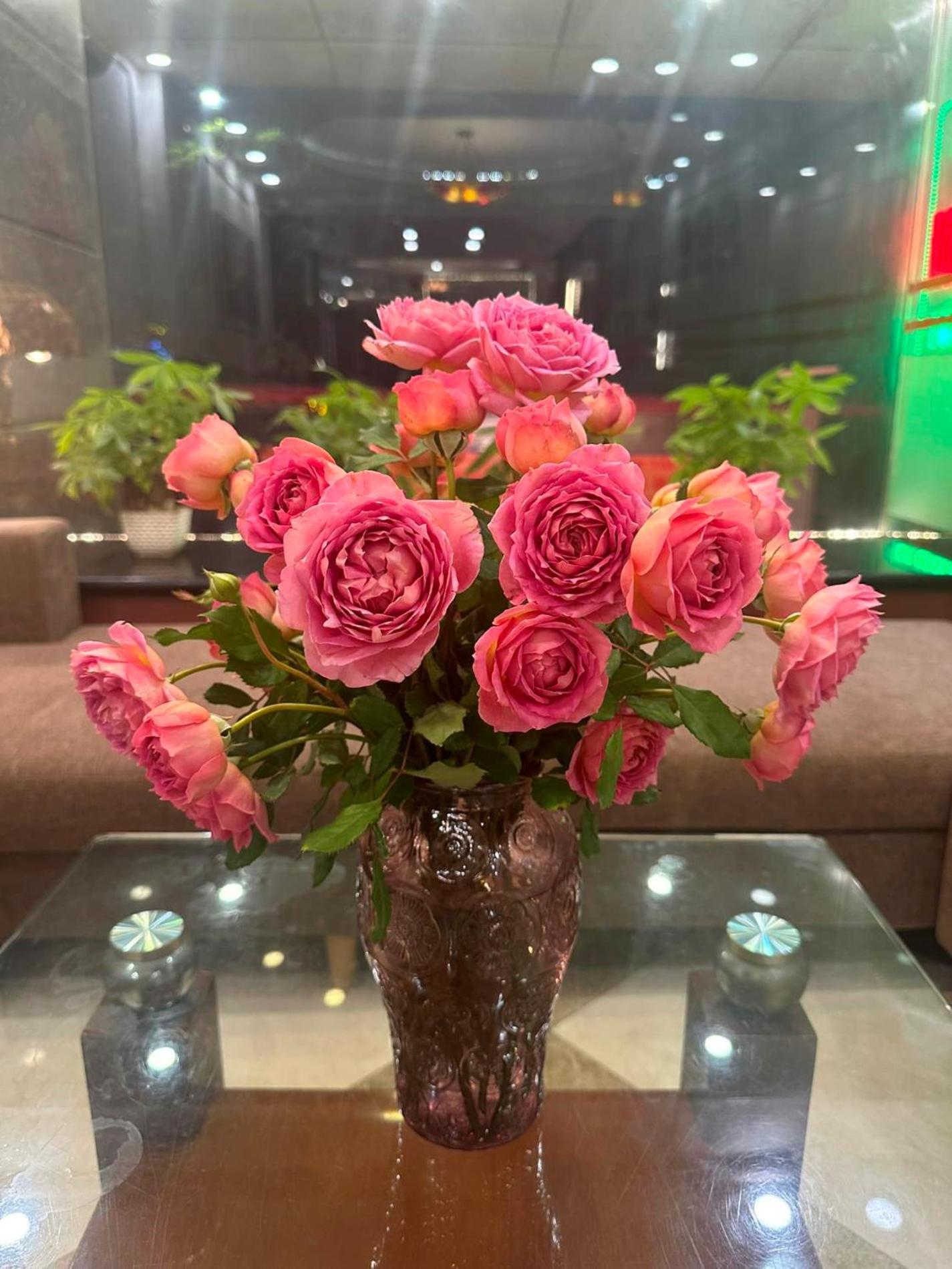 האנוי Hoa Hong Hotel 2 - Xa Dan מראה חיצוני תמונה